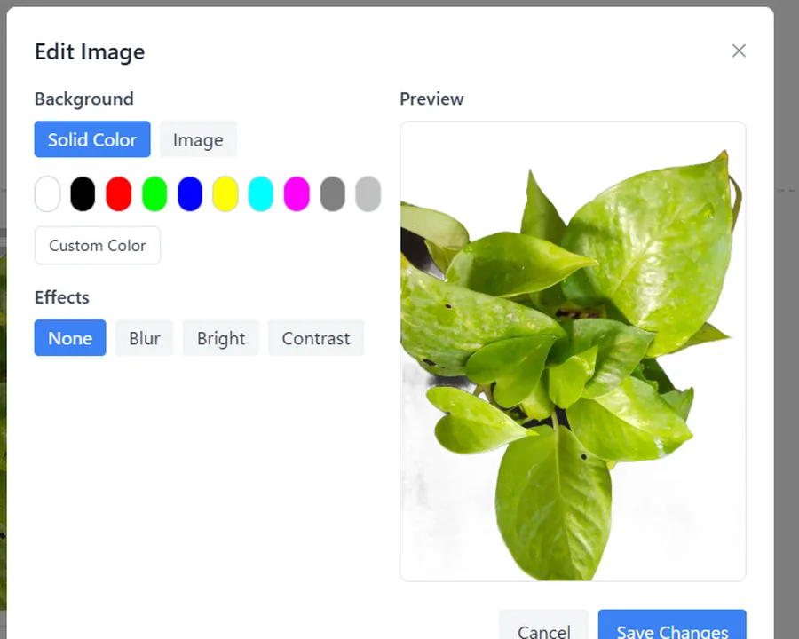 The Edit dialog, offering a solid colour or an image as the background, blur, brightness and contrast effects, and a preview