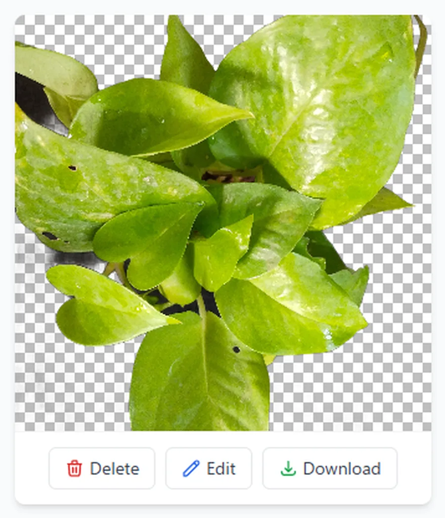 The finished result: the plant on a checkerboard background, with Delete, Edit and Download buttons underneath